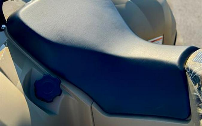 2025 Yamaha Kodiak 700 EPS