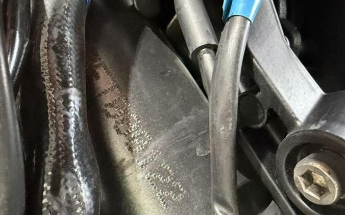 2015 Ducati Scrambler Icon '62 Yellow