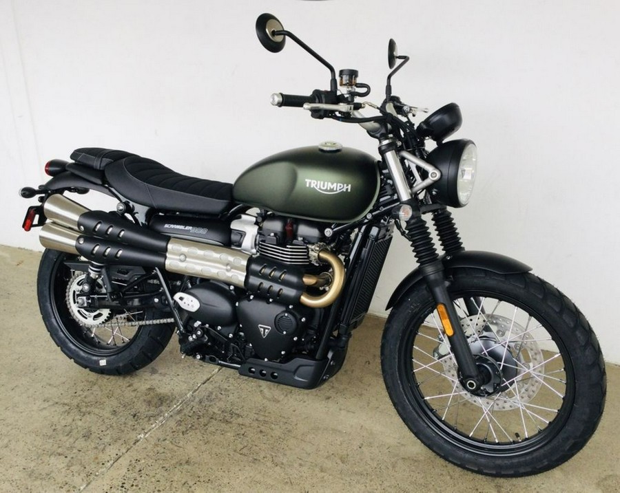 2024 Triumph Scrambler 900 Matte Khaki Green