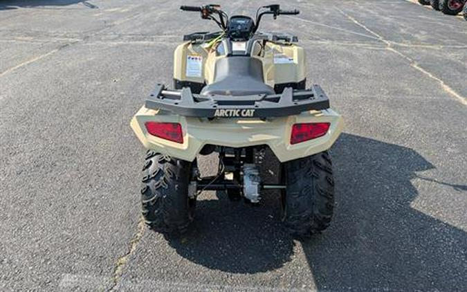 2024 Arctic Cat Alterra 300