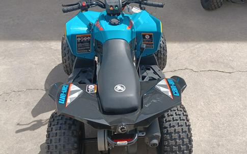 2024 Can-Am™ Renegade 110 EFI