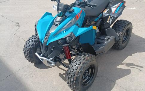 2024 Can-Am™ Renegade 110 EFI