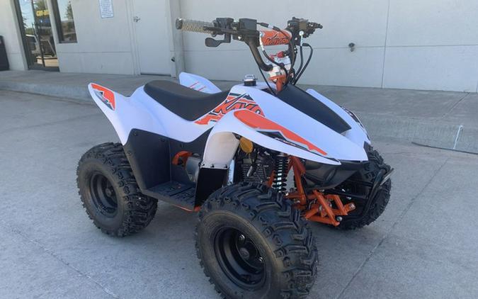 2025 Kayo Fox / Storm 70