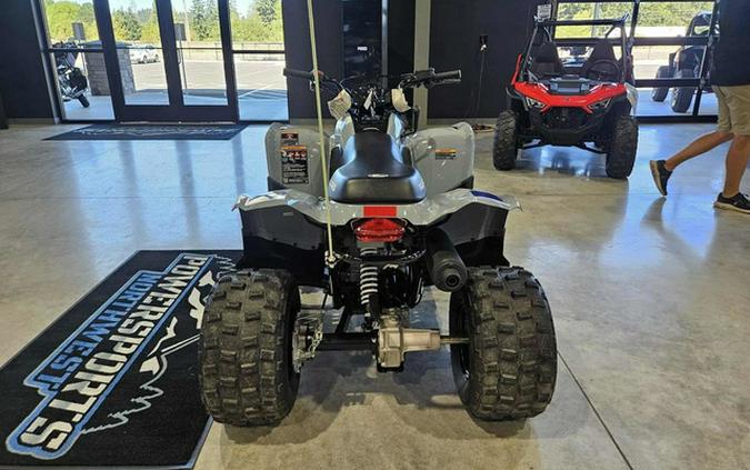 2026 Polaris Phoenix 200
