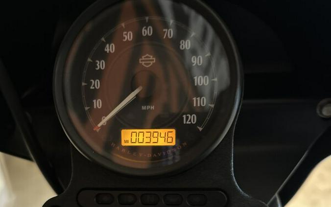 XL 1200NS 2019 Iron 1200™