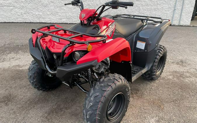 2025 Yamaha Grizzly 110