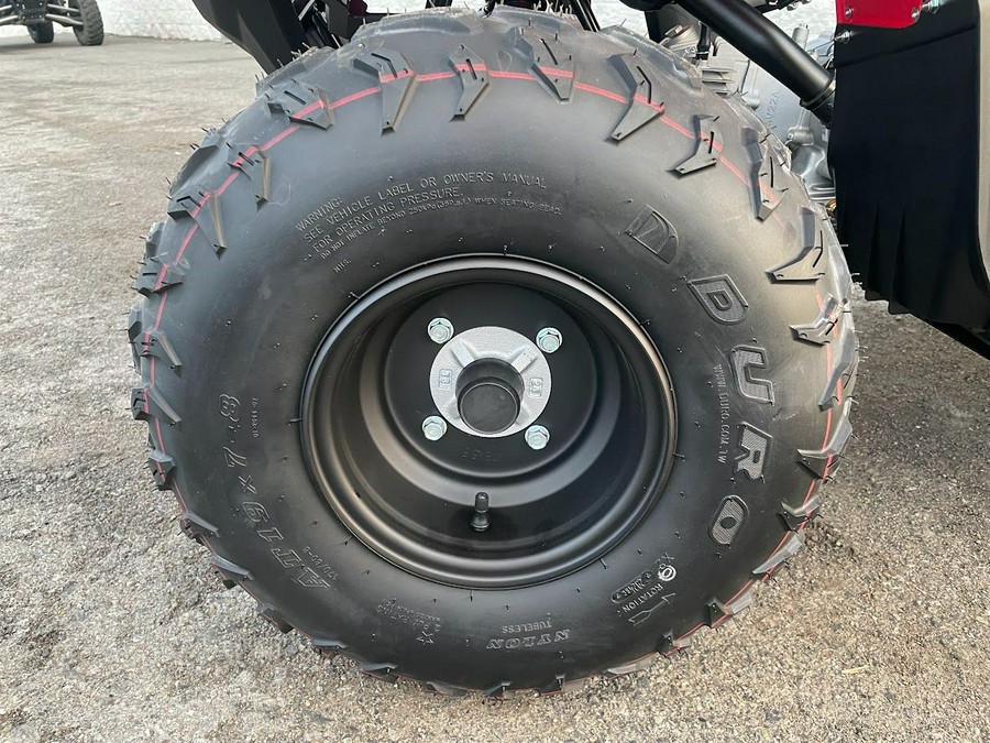 2025 Yamaha Grizzly 110