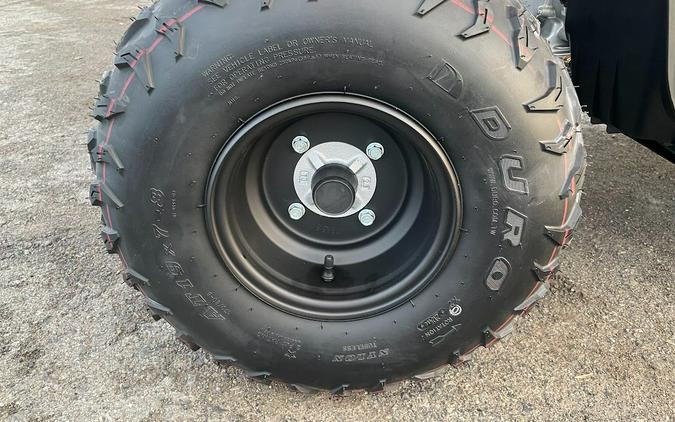 2025 Yamaha Grizzly 110