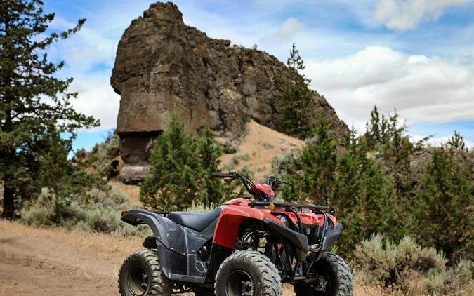 2025 Yamaha Grizzly 110