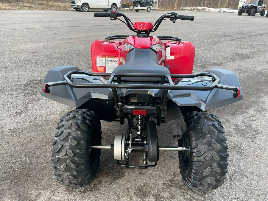 2025 Yamaha Grizzly 110