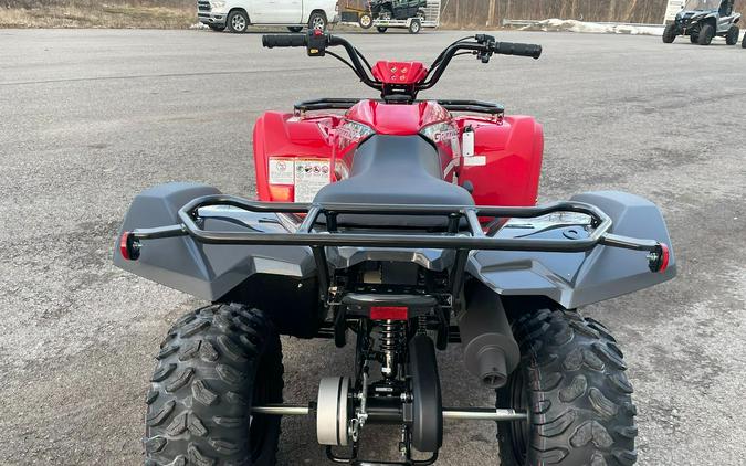 2025 Yamaha Grizzly 110