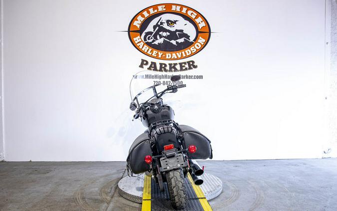 2014 Harley-Davidson® FLS - Softail Slim®