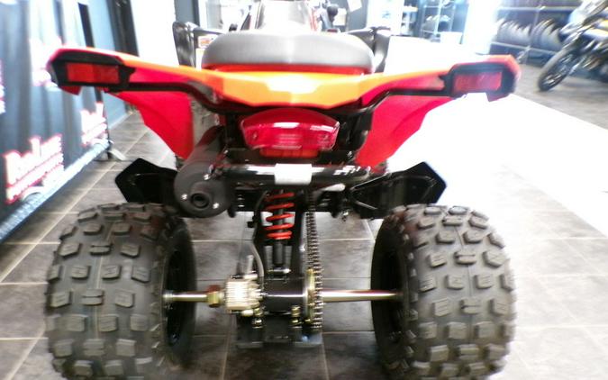 2024 Can-Am® DS 250