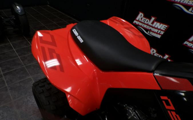 2024 Can-Am® DS 250