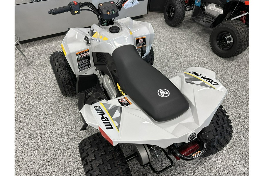 2024 Can-Am Renegade 110 EFI - CATALYST GREY / NEO YELLOW