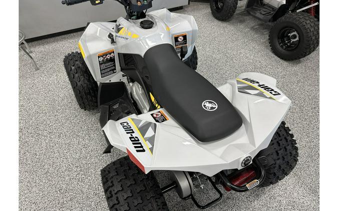 2024 Can-Am Renegade 110 EFI - CATALYST GREY / NEO YELLOW