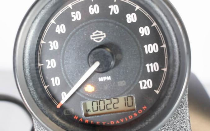 2021 Harley-Davidson Iron 883