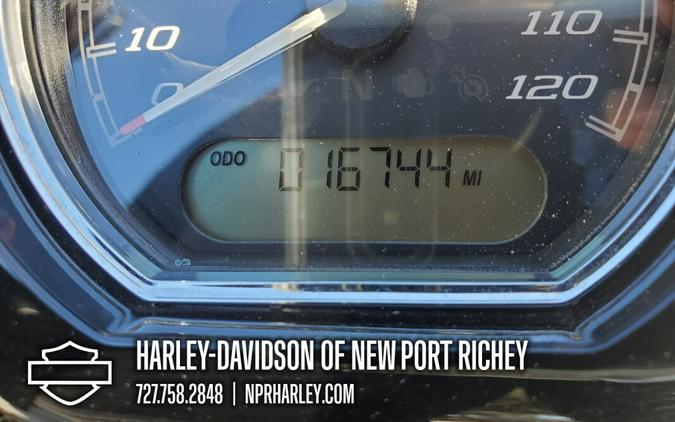 2021 Harley-Davidson® Road Glide® Special