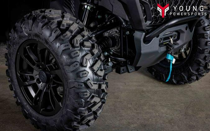 2026 CFMOTO CFORCE 800 TOURING Granite Ridge - T6002601