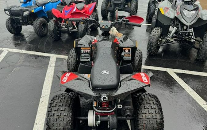 2023 Can-Am Renegade X xc 110 EFI