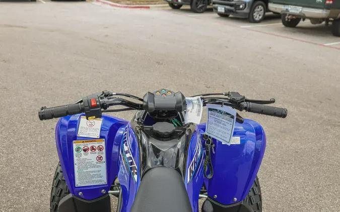 2026 YAMAHA RAPTOR 110