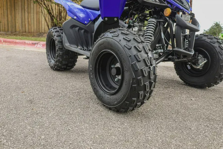2026 YAMAHA RAPTOR 110