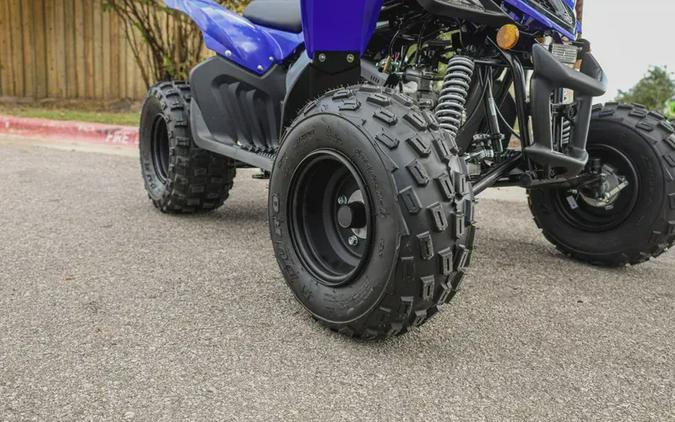 2026 YAMAHA RAPTOR 110
