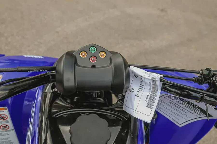 2026 YAMAHA RAPTOR 110