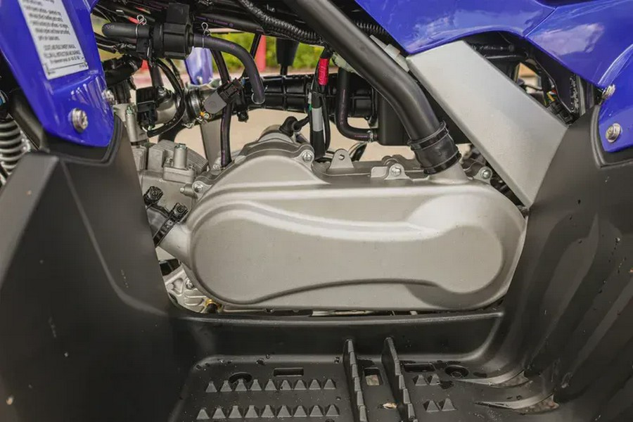 2026 YAMAHA RAPTOR 110