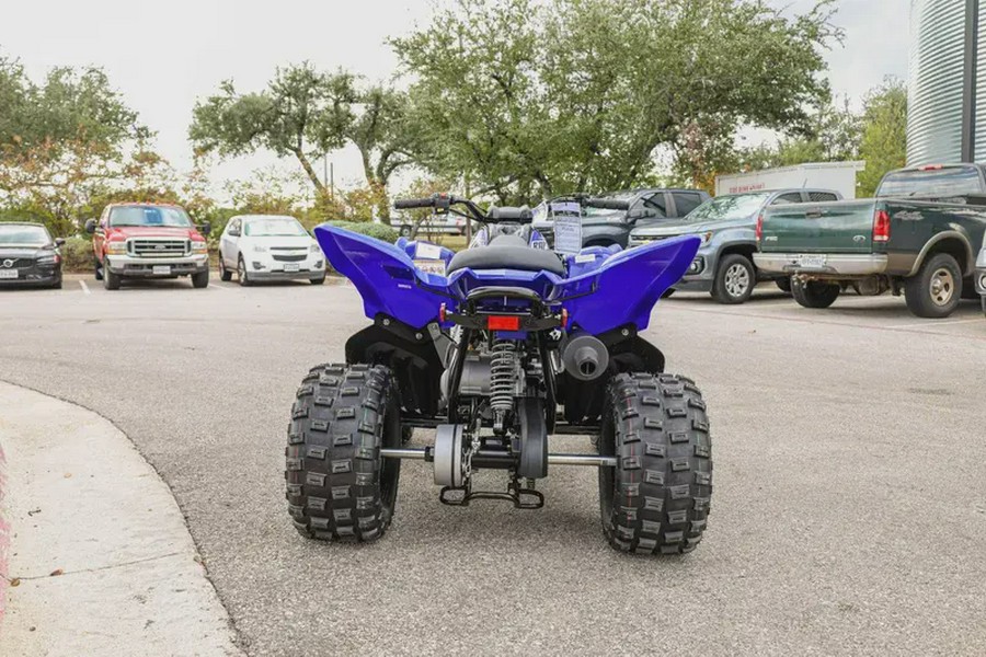 2026 YAMAHA RAPTOR 110
