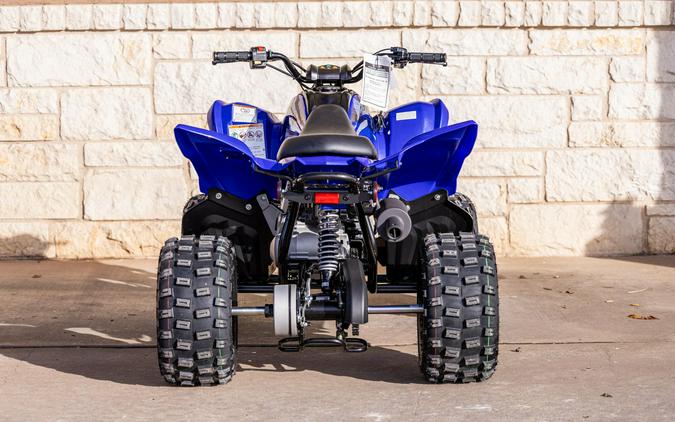 2026 YAMAHA RAPTOR 110