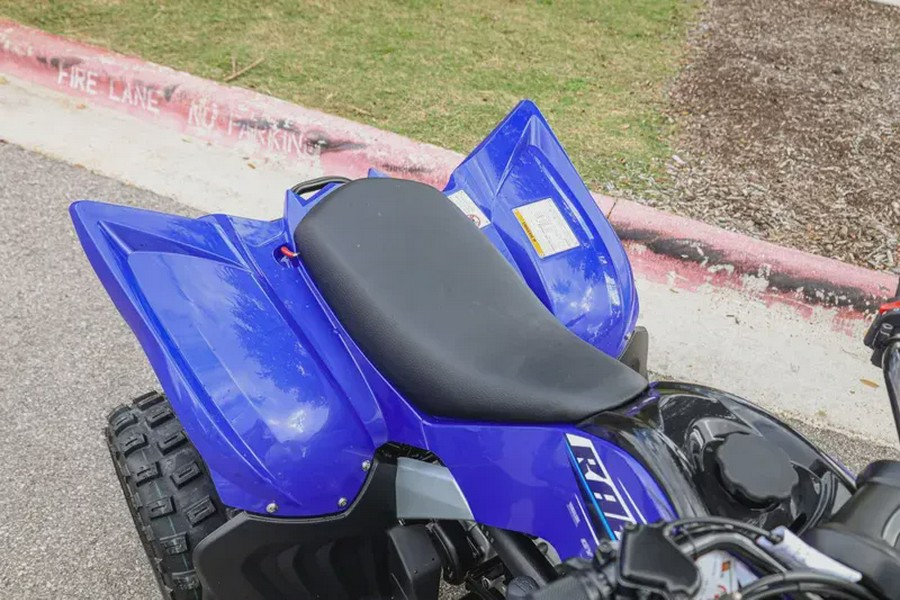 2026 YAMAHA RAPTOR 110