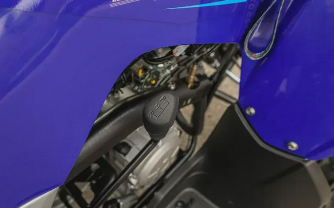 2026 YAMAHA RAPTOR 110