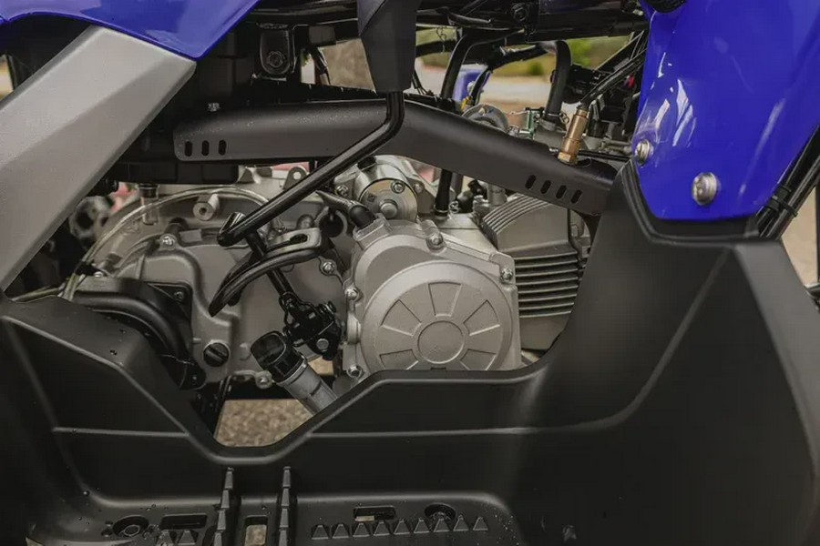 2026 YAMAHA RAPTOR 110