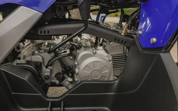 2026 YAMAHA RAPTOR 110