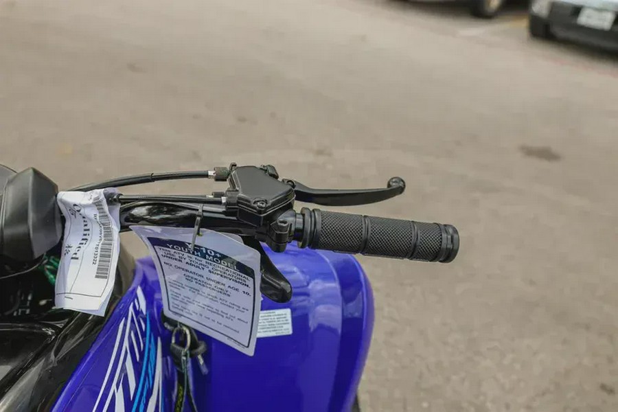 2026 YAMAHA RAPTOR 110