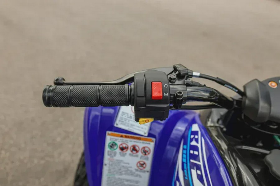 2026 YAMAHA RAPTOR 110