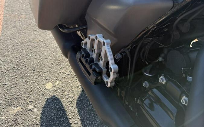 2019 Harley-Davidson® FLHXS Street Glide® Special