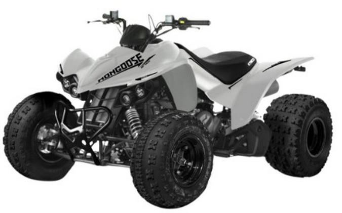 2026 Kymco Mongoose 270i