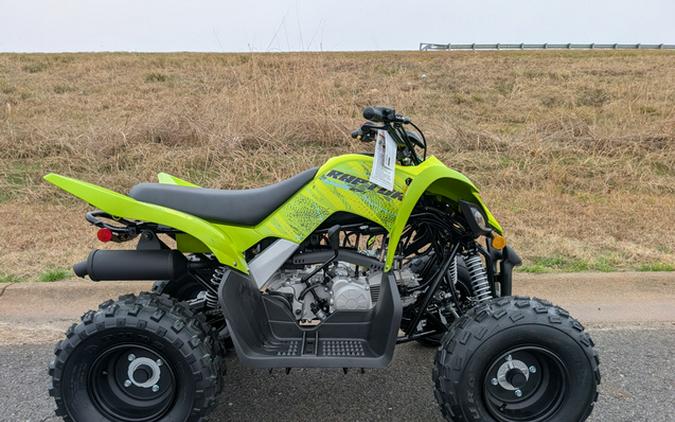 2026 Yamaha Raptor 110
