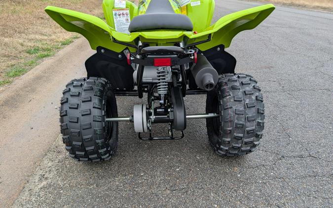 2026 Yamaha Raptor 110