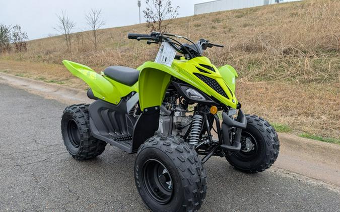 2026 Yamaha Raptor 110