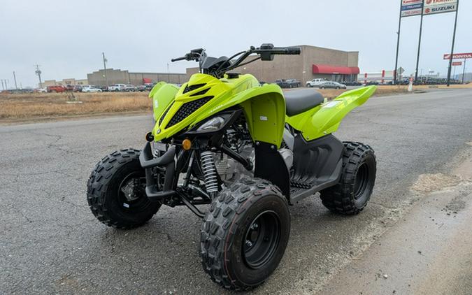 2026 Yamaha Raptor 110