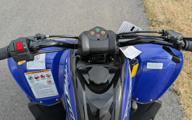 2026 Yamaha Raptor 110
