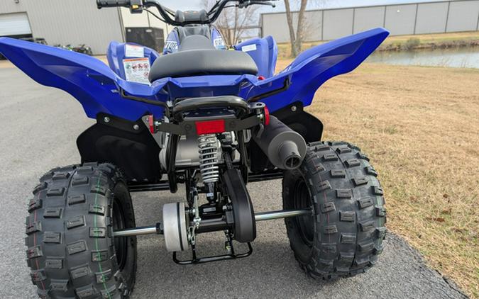 2026 Yamaha Raptor 110