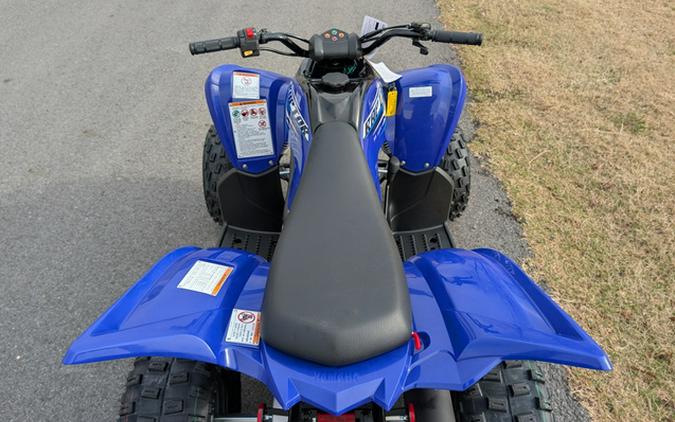 2026 Yamaha Raptor 110