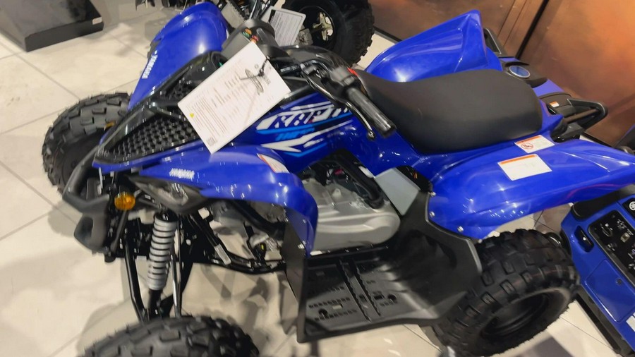 2026 Yamaha RAPTOR 110