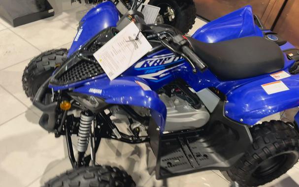 2026 Yamaha RAPTOR 110