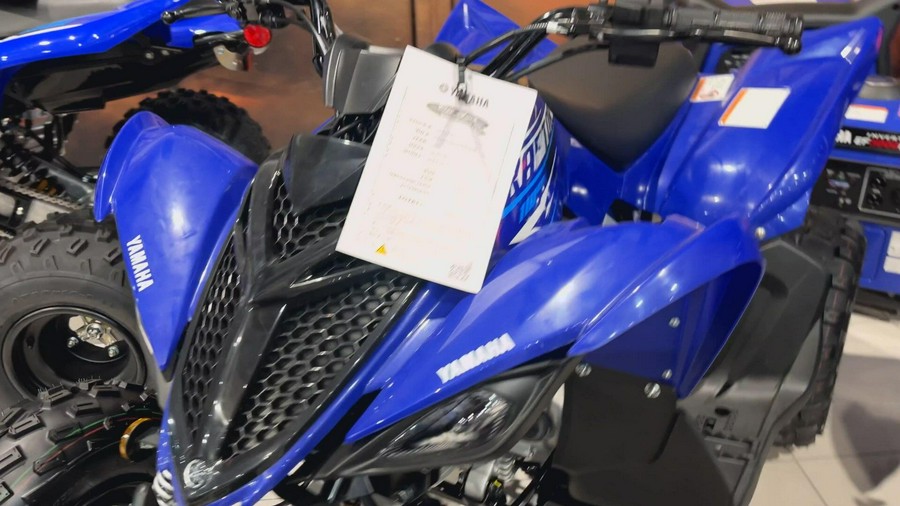 2026 Yamaha RAPTOR 110