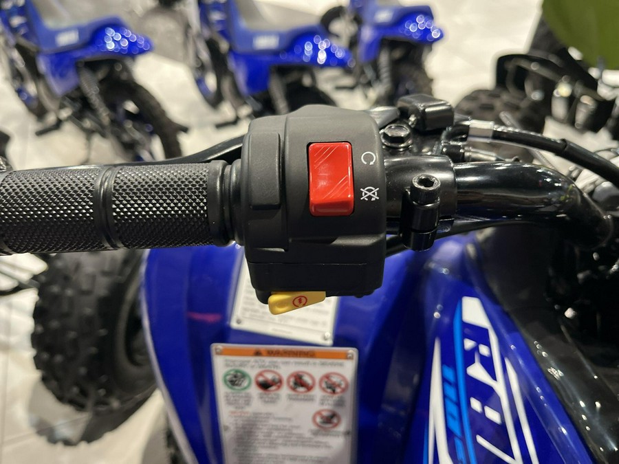 2026 Yamaha RAPTOR 110